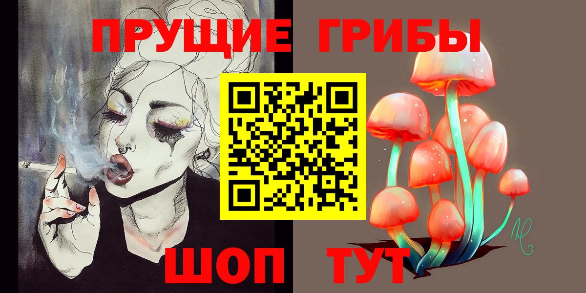 Партизанск  Псилоцибиновые грибы Psilocybe  Вход с VPN 