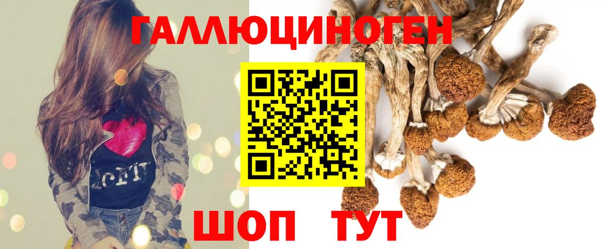 Псилоцибиновые грибы GOLDEN TEACHER Партизанск